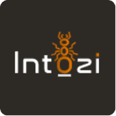 Intozi